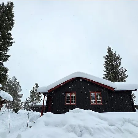 Casa de Férias Gorgeous In With Sauna Flatdal